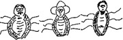 1.Bedbugs copy