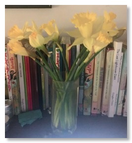 Daffodils