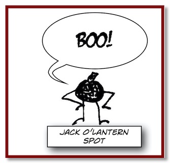 *SpotquoteJack