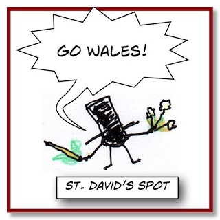 *SpotSaintDavids