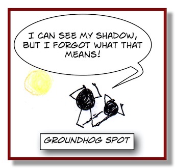*SpotShadow