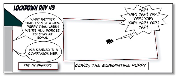3. Covid, the Quarantine Puppy Comics