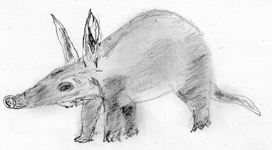 Ardvark