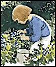 Blueberries