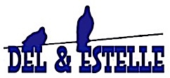 D&E template