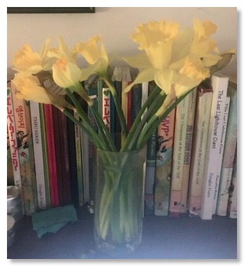 Daffodils