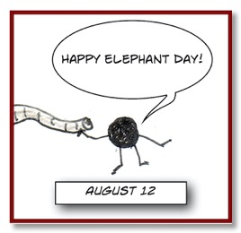 ElephantSpot