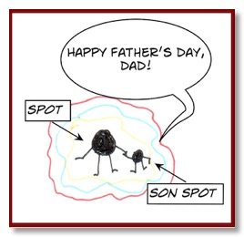 FatherDaySpot