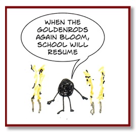 goldenrod