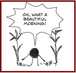 morning