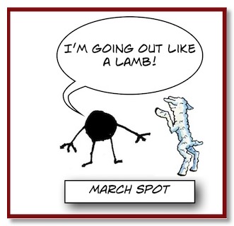 Spot Lamb
