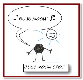 SpotBlueMoon