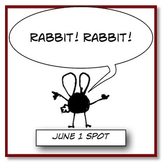 SpotRabbitRabbit