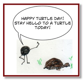 TurtleDay