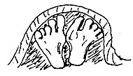 feetbottom copy