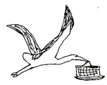 Stork copy