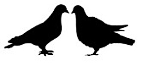 2pigeons copy