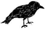 crow