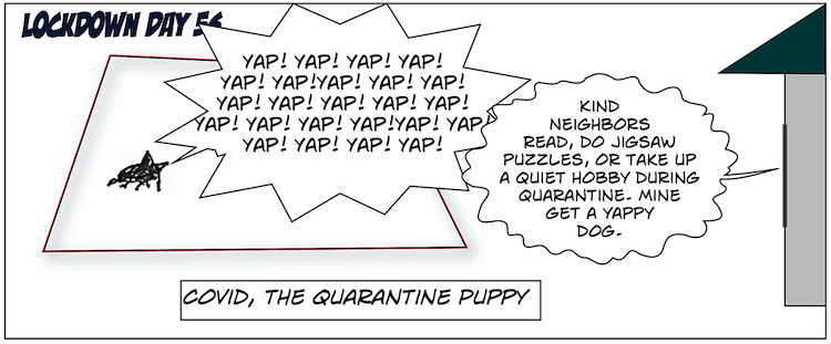 56. Covid, the Quarantine Puppy 