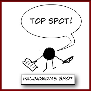 Palindrome