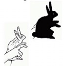 Shadow